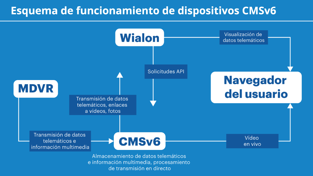 ¿Cómo empezó todo?